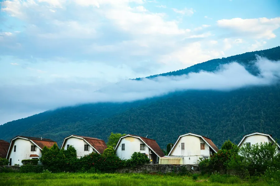 Illustration for Greenwashing Red Flags and Community Impact Assessment