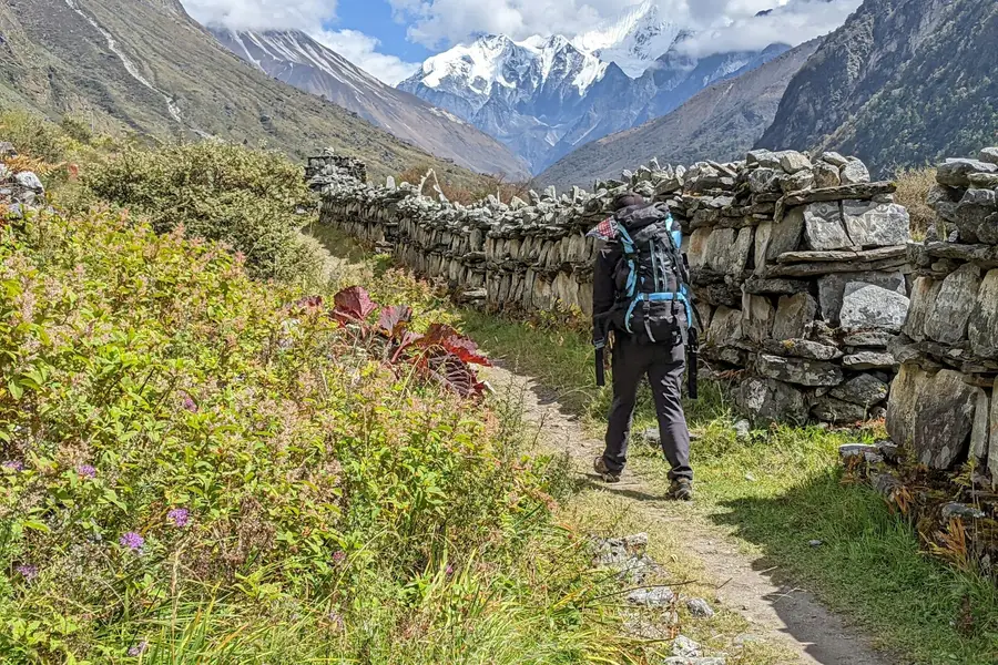 Illustration for The Hard-Medium-Easy Rotation Across Countries