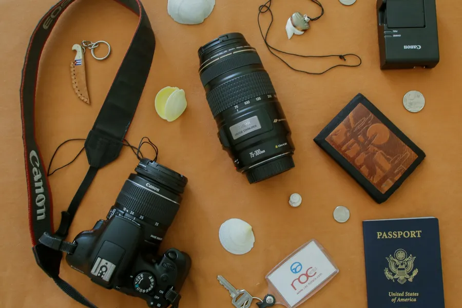 Illustration for Multi-Port Chargers and Universal Adapters