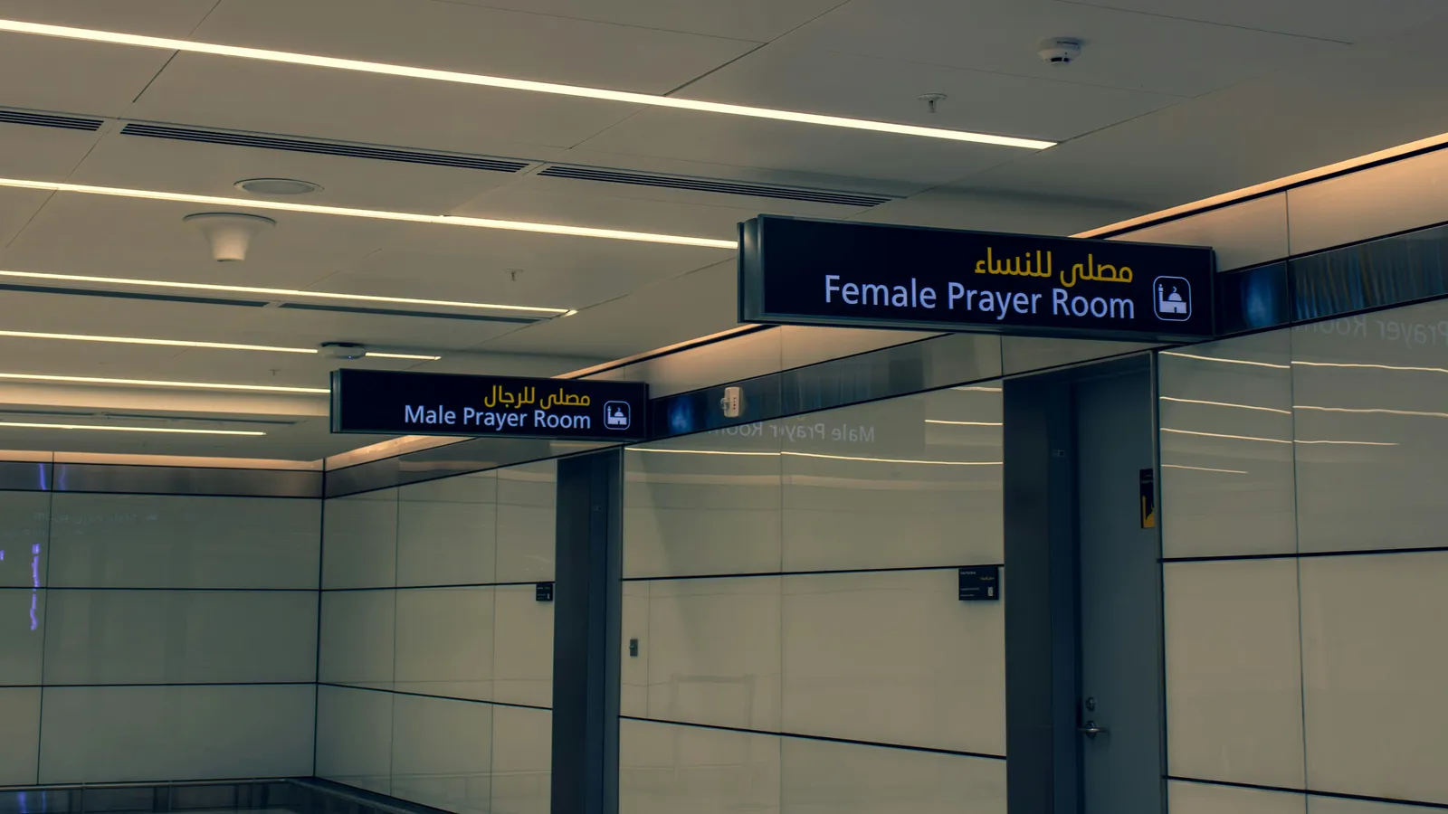 roammate vs Tourlina: Which Travel Companion App Is Right for You?