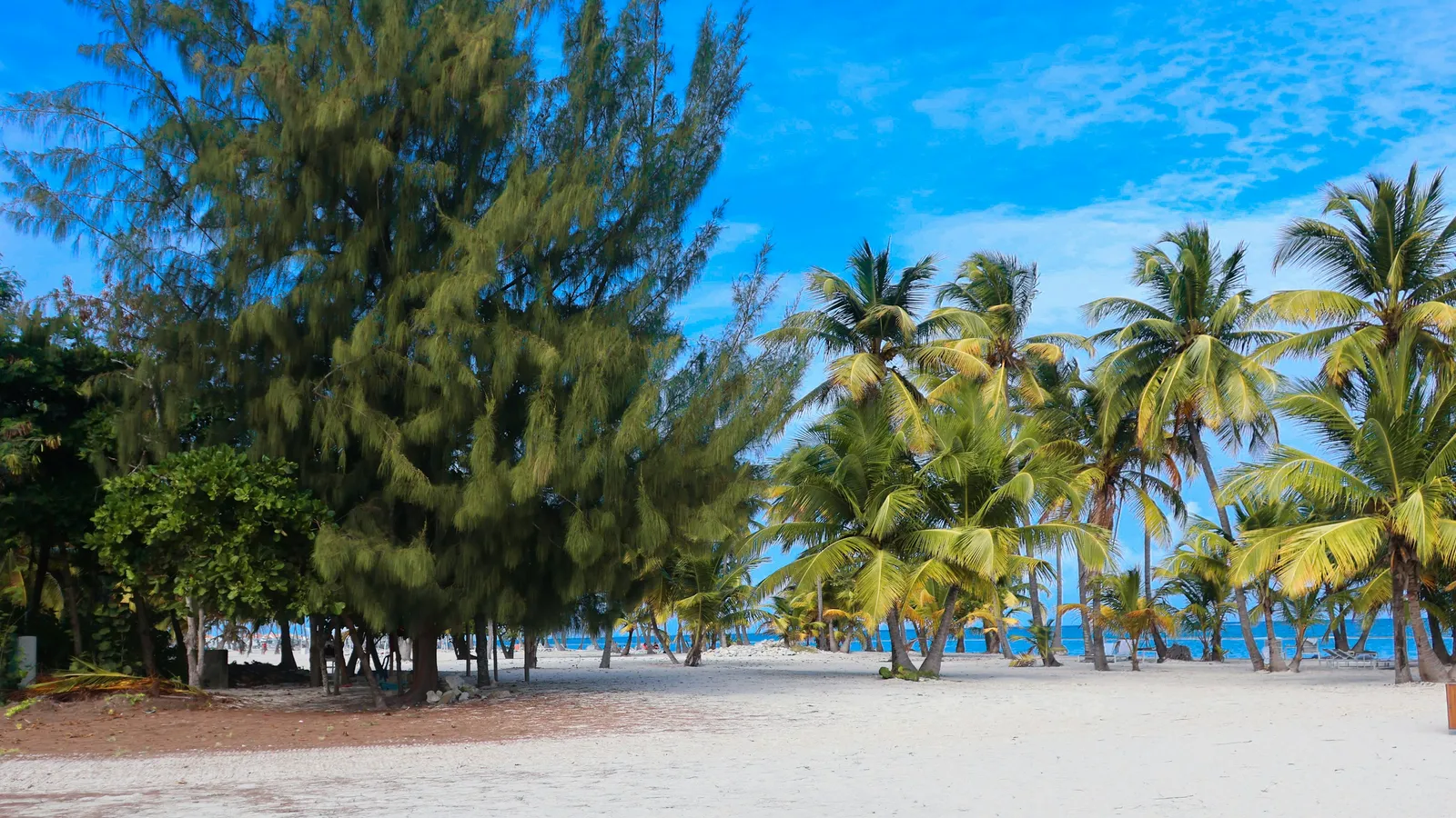 Tropical Disease Prevention for Travelers