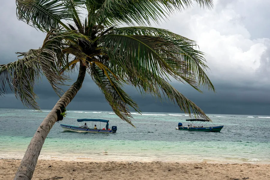 Illustration for Malaria, Dengue, and Mosquito-Borne Prevention