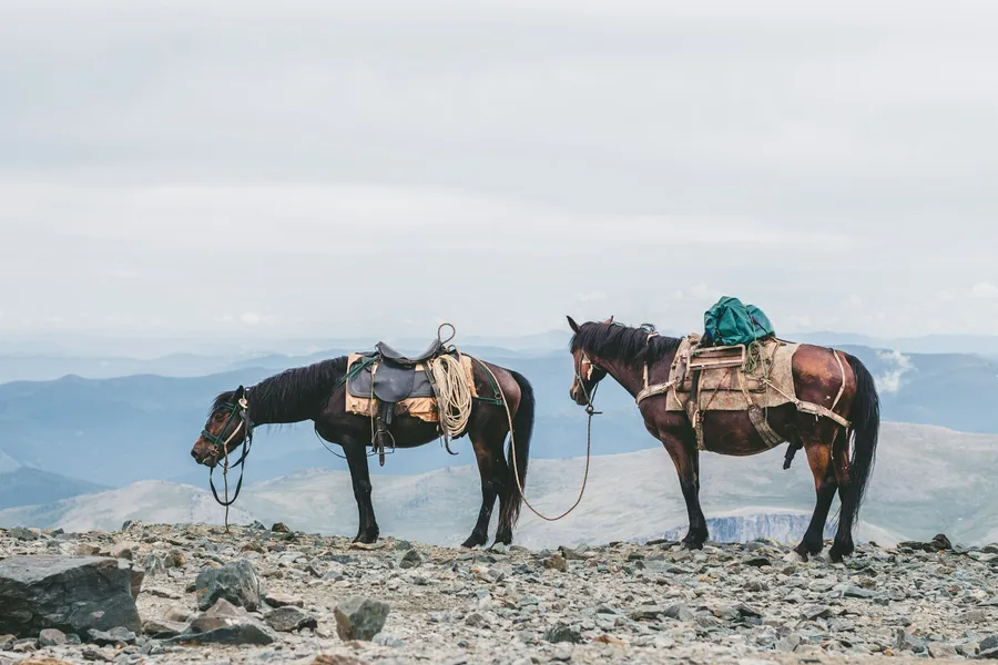 Illustration for Saturday Morning: The 90-Minute Admin Blitz