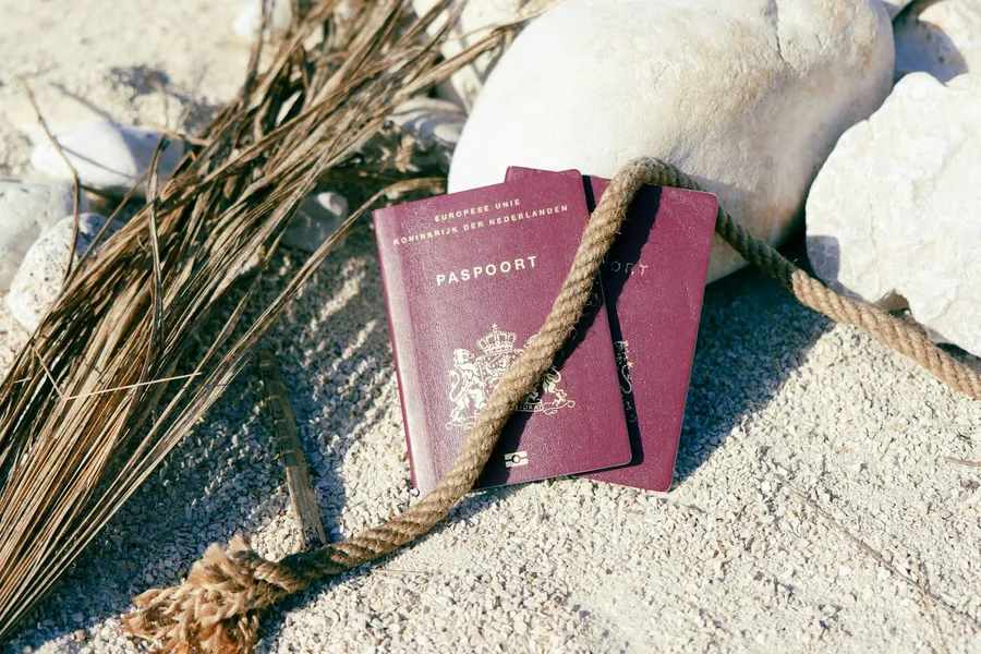 Illustration for Country-by-Country Requirements and Age Limits